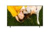 LG 65UA751C0LA 4K UHD AI Smart TV