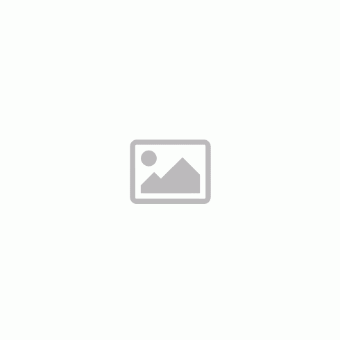 Gorenje NRK6191PS4 alulfagyasztós kombinált hűtőszekrény, szürke, NoFrost, 185 cm, 204/96 l, MultiFlow, AdaptTech, gyorsfagyasztás (3 év garancia)